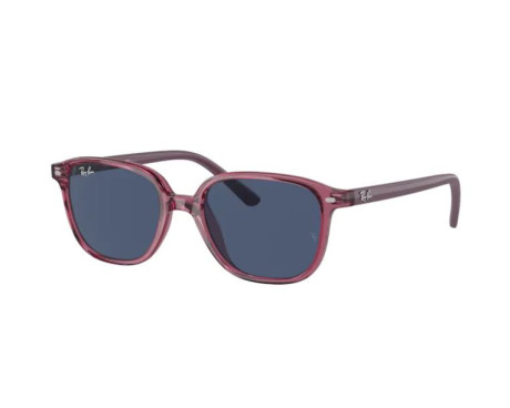 100124-Sunglasses Ray-Ban RJ9093S