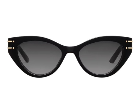 133898-Sunglasses DIOR DiorSignature B7I