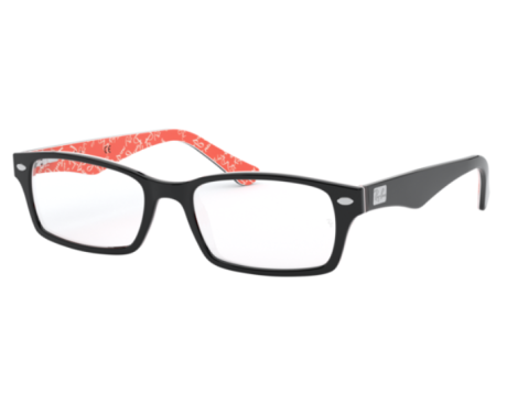 159992-Ray-Ban Eyeglasses RX5206