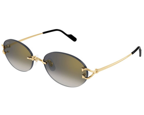 212307-Cartier Core Range CT0551S Sunglasses