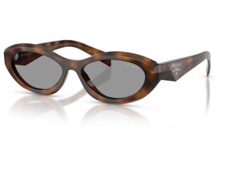 263561-Prada Symbole PR 26ZS Sunglasses