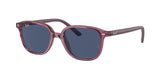 Lunettes de Soleil Ray-Ban RJ9093S
