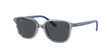 Lunettes de Soleil Ray-Ban RJ9093S