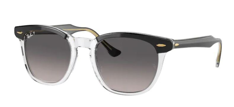 Occhiali da Sole Ray-Ban RB2298