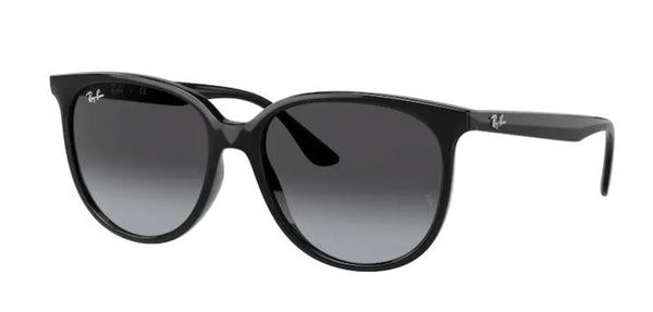 Ray-Ban RB4378 zonnebril