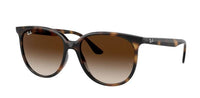 Ray-Ban RB4378 Sunglasses