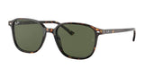 Gafas de Sol Ray-Ban RB2193