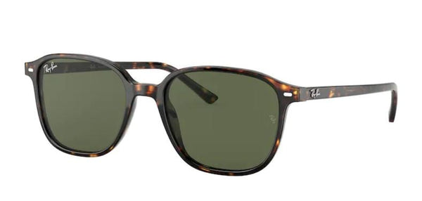 Zonnebrillen Ray-Ban RB2193