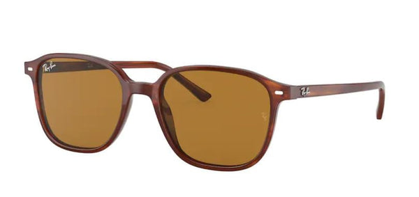 Zonnebrillen Ray-Ban RB2193