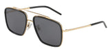 Gafas de sol Dolce&Gabbana DG2220