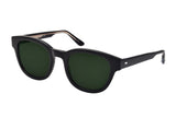 Sunglasses Masunaga 096SG