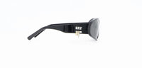 1309 SR Twinkle Sunglasses