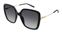 Chloé CH0173S Sunglasses