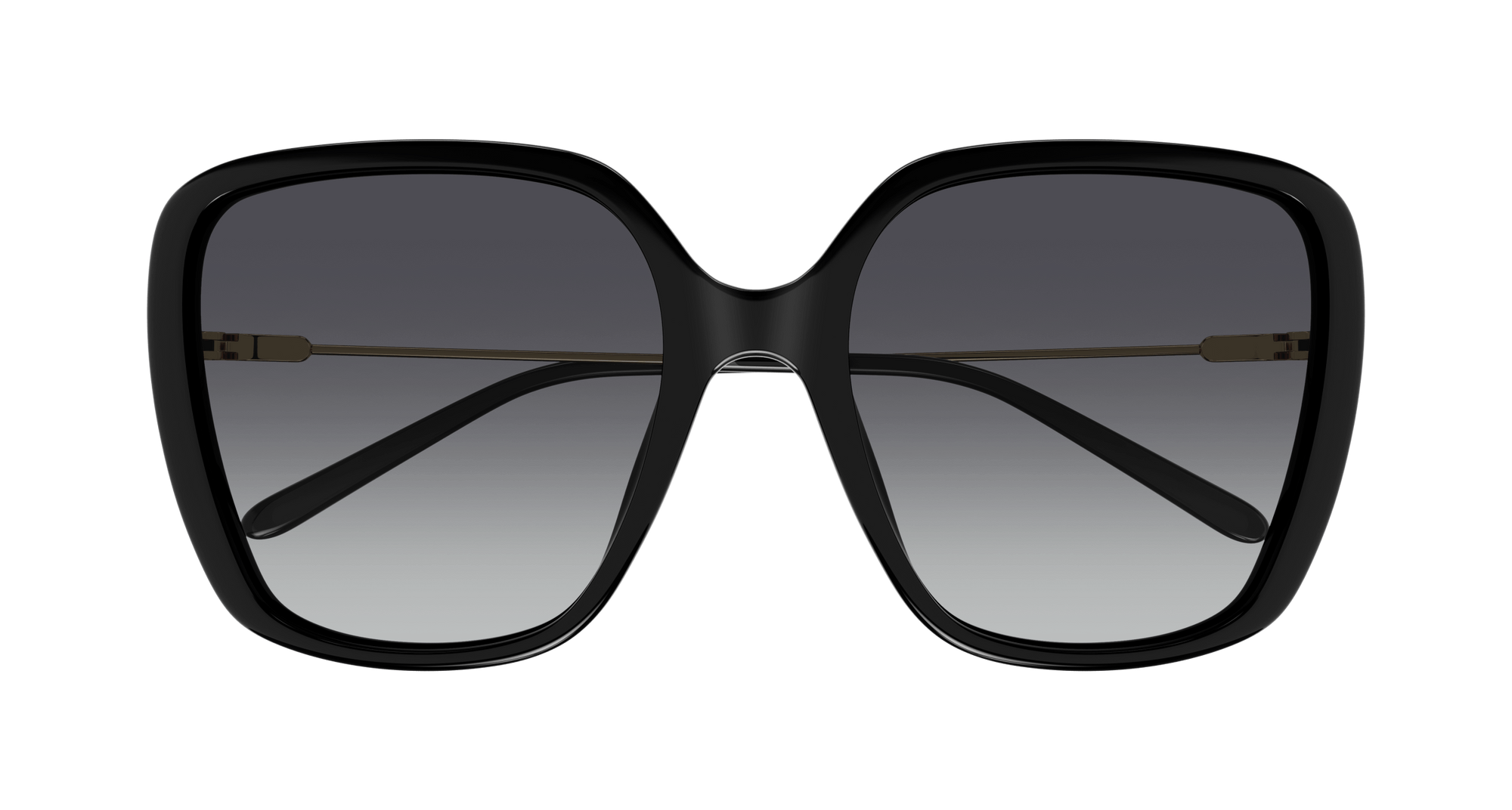 Chloé CH0173S Sunglasses