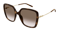Chloé CH0173S Sunglasses