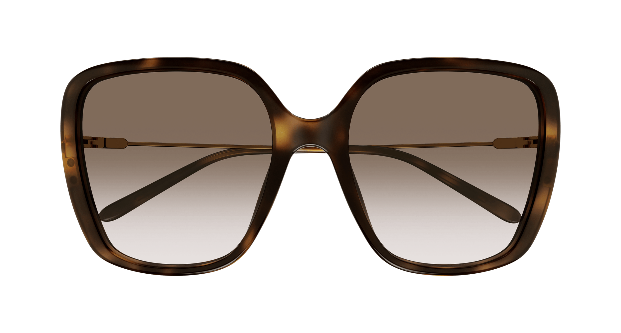Chloé CH0173S Sunglasses