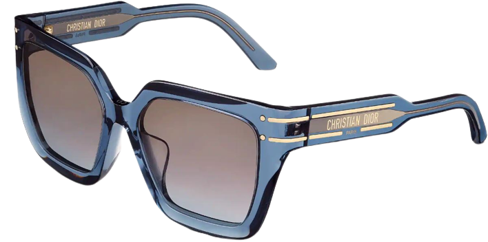 DIOR DiorSignature S10F-zonnebril