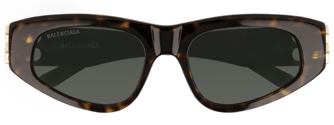 Balenciaga Everyday BB0095S-zonnebril