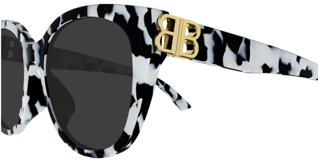 Gafas de sol Balenciaga Everyday BB0103SA