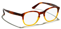 L.G.R. Martin Optical Glasses