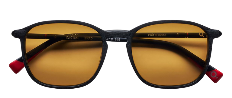 Etnia Barcelona Cactus Sunglasses