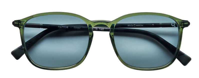 Etnia Barcelona Cactus Sunglasses