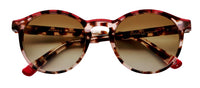Etnia Barcelona Avinyo 3 Sunglasses