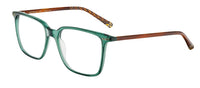 Brille Etnia Barcelona Calonge