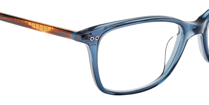 Korrektionsbrille Etnia Barcelona Roses