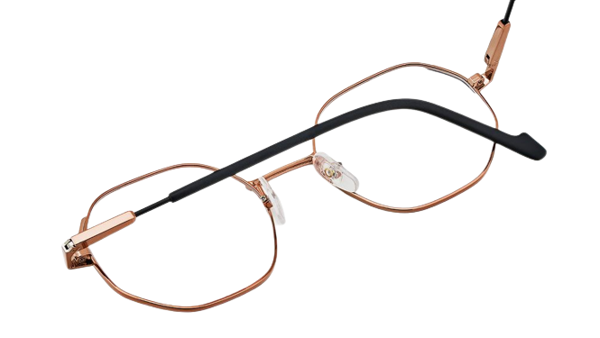 Etnia Barcelona Morganite Eyeglasses