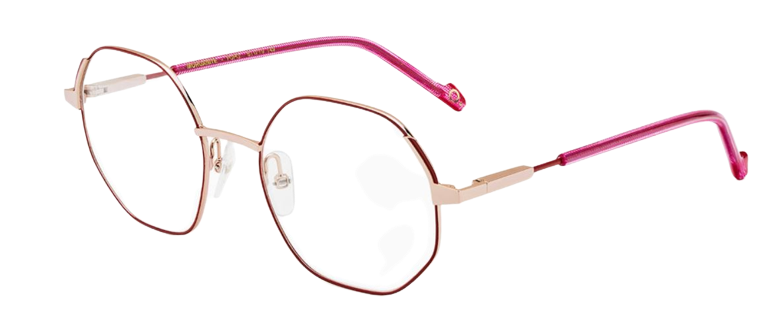 Etnia Barcelona Morganite Eyeglasses