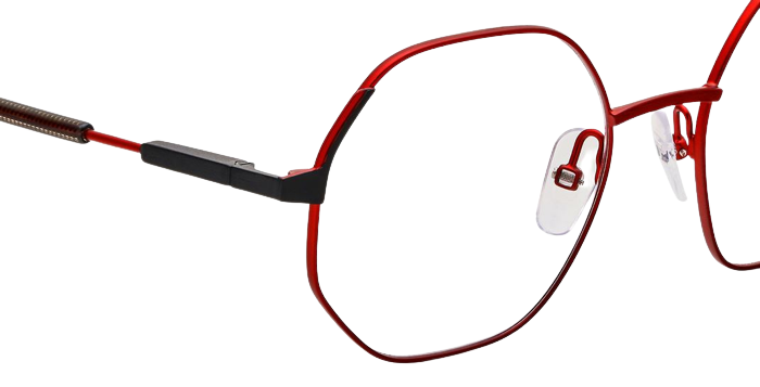 Etnia Barcelona Morganite Eyeglasses