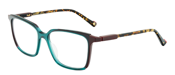 Lunettes de vue Etnia Barcelona Sussex
