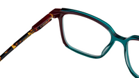Etnia Barcelona Sussex Eyeglasses