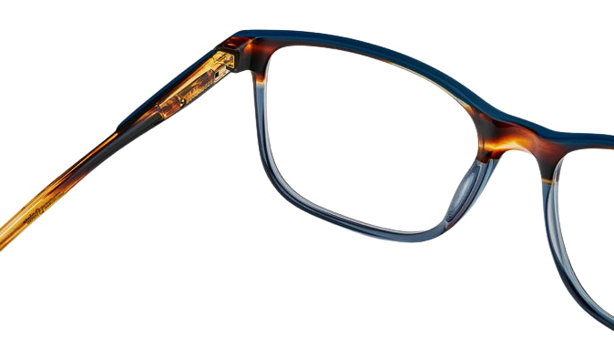 Korrektionsbrille Etnia Barcelona Victor