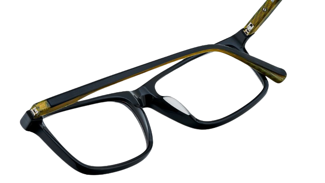 Brille Etnia Barcelona Speedy