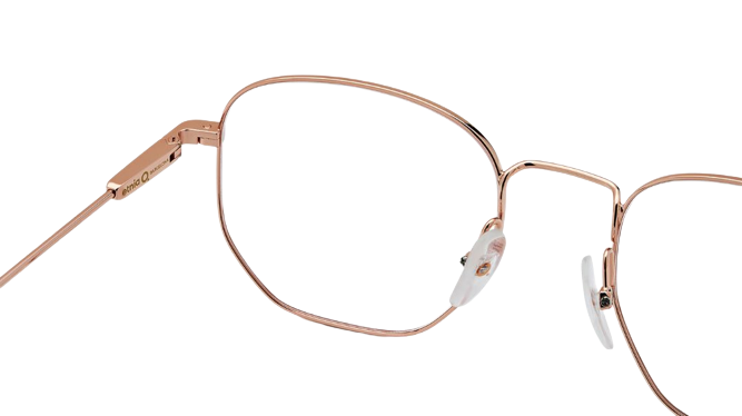 Etnia Barcelona Buchanan ST 光学眼镜