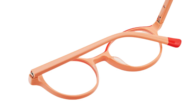 Etnia Barcelona Dixie leesbril