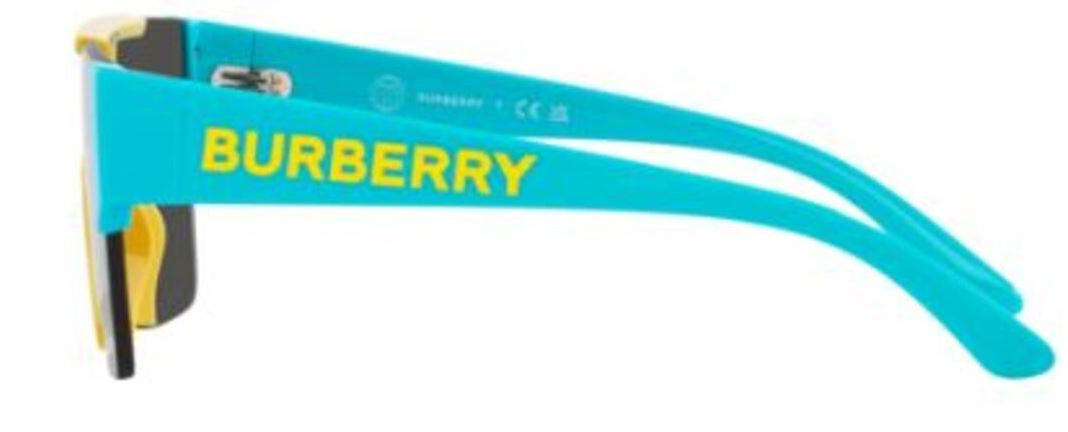 Zonnebrillen Burberry JB4387