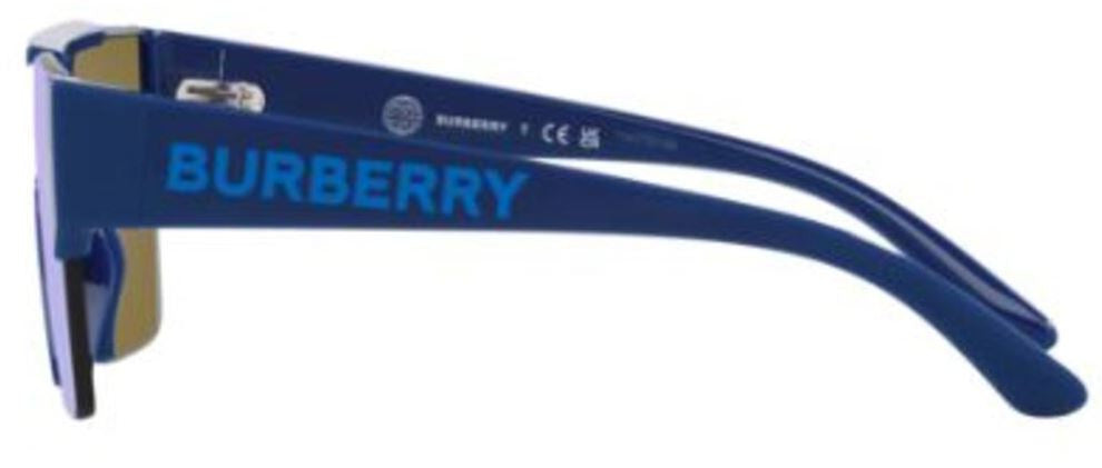 Zonnebrillen Burberry JB4387