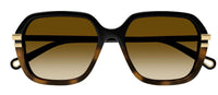 Chloe CH0204S Sunglasses