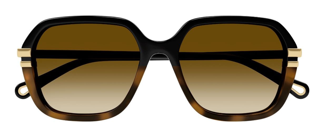 Chloe CH0204S Sunglasses