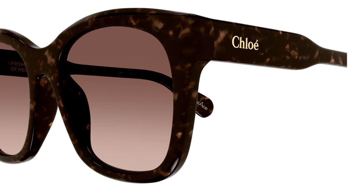 Chloe CH0194SK Sunglasses