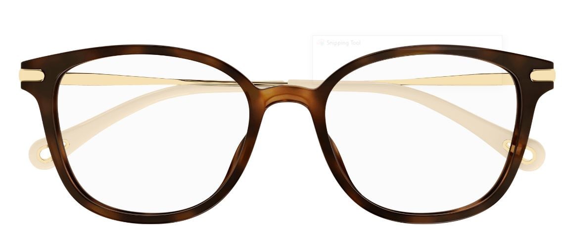Korrektionsbrille Chloe CH0219OA
