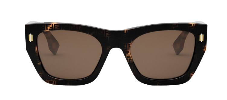 Lunettes de Soleil Fendi Roma FE40100I