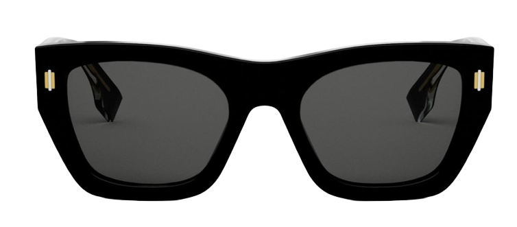 Lunettes de Soleil Fendi Roma FE40100I