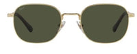 Occhiali da Sole Persol PO1009S