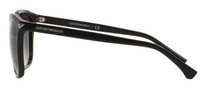 Emporio Armani EA4060 sunglasses