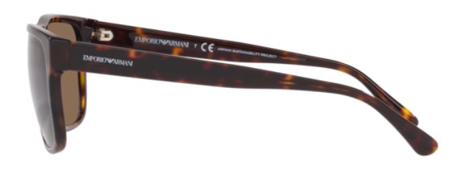 Emporio Armani EA4163 Sunglasses