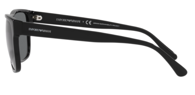 Emporio Armani EA4163 Sunglasses